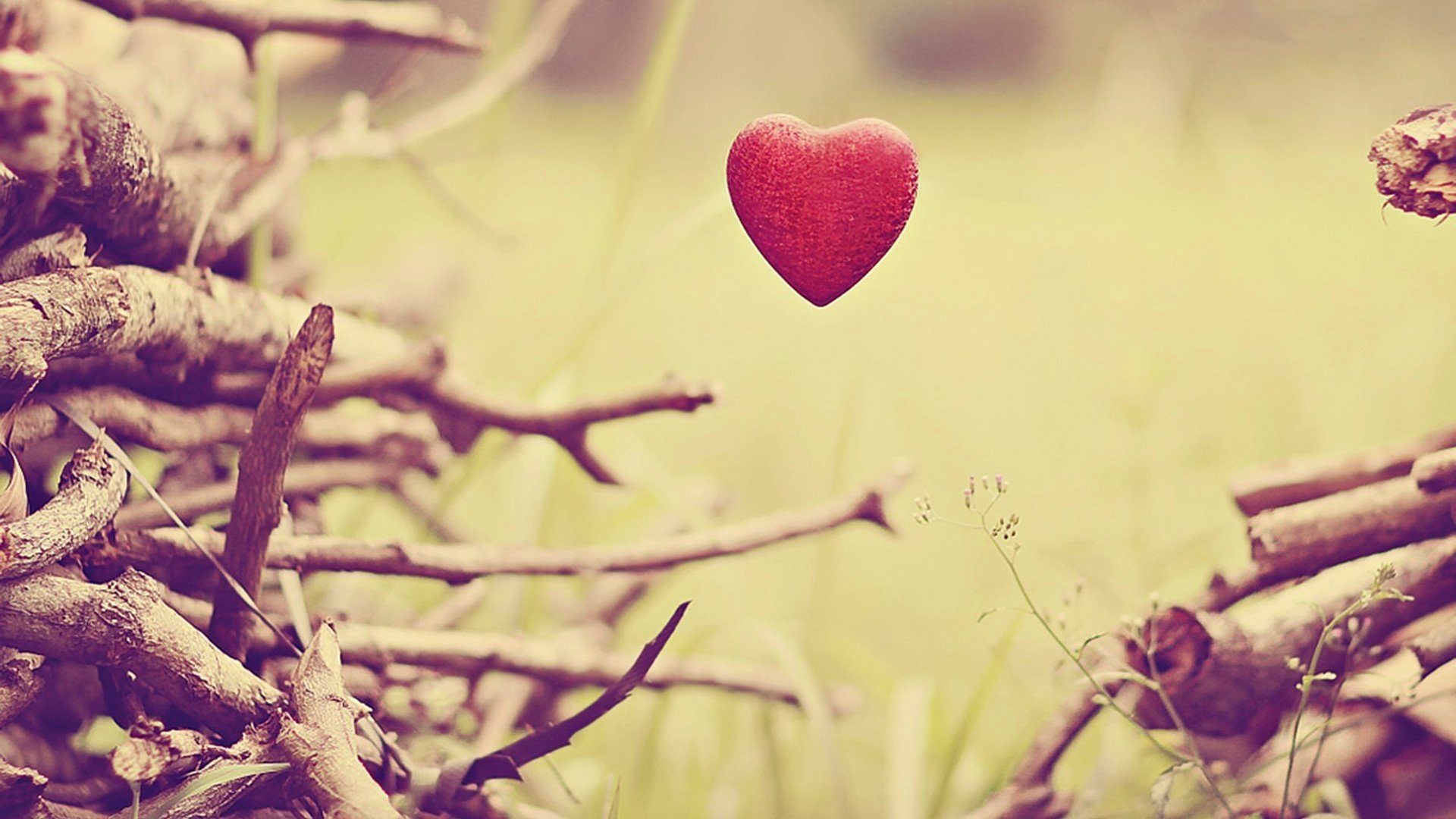 叶子星语|天生花心，见一个爱一个的星座，要想降服他们，需要很大的本领