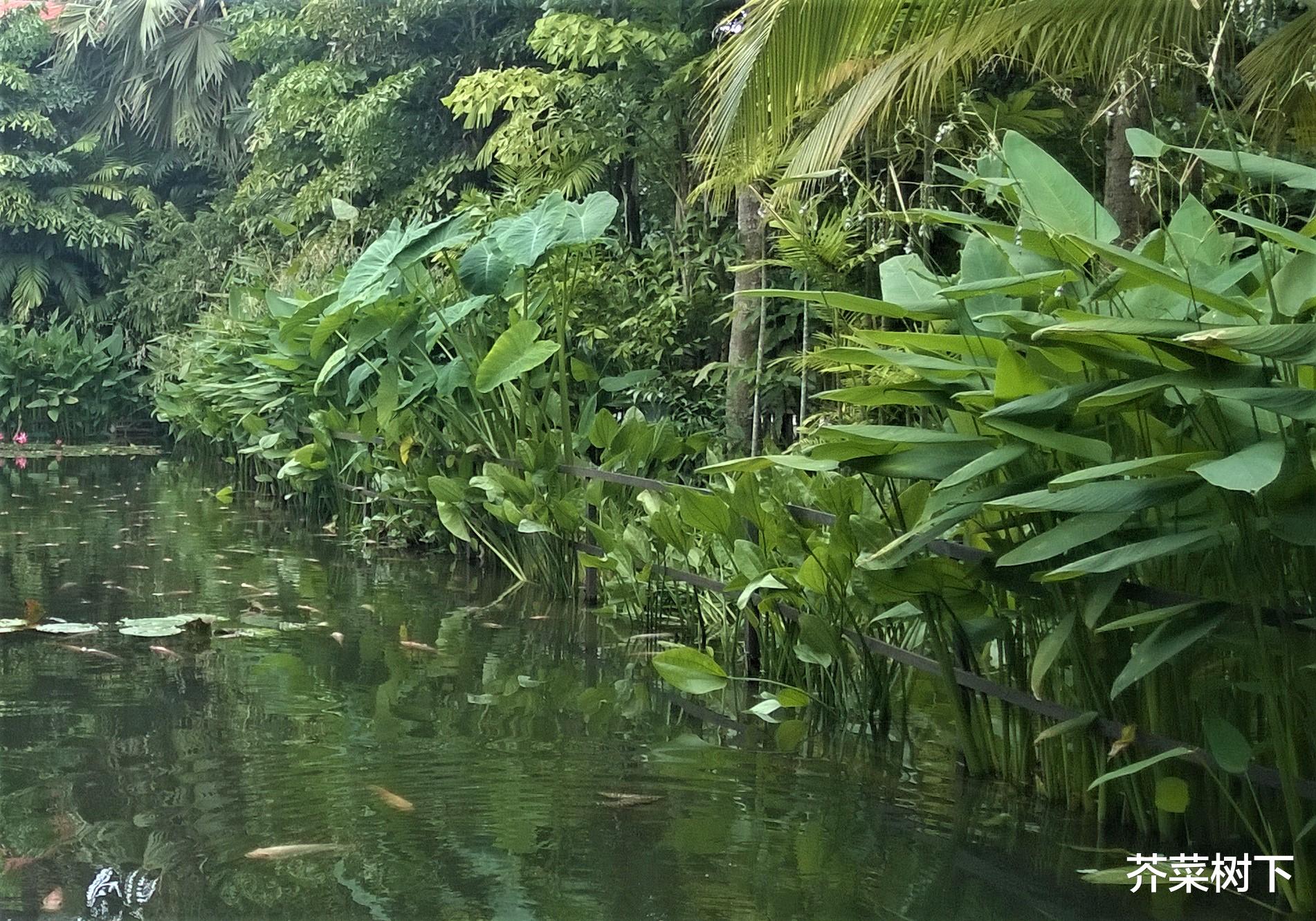 |他可以混下去，你最好别