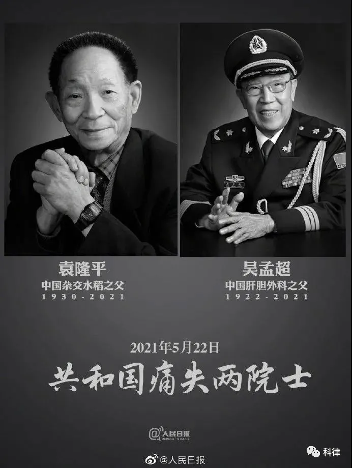 科律法律咨询 科律热议丨无双国士待追忆，怎容宵小法外狂？