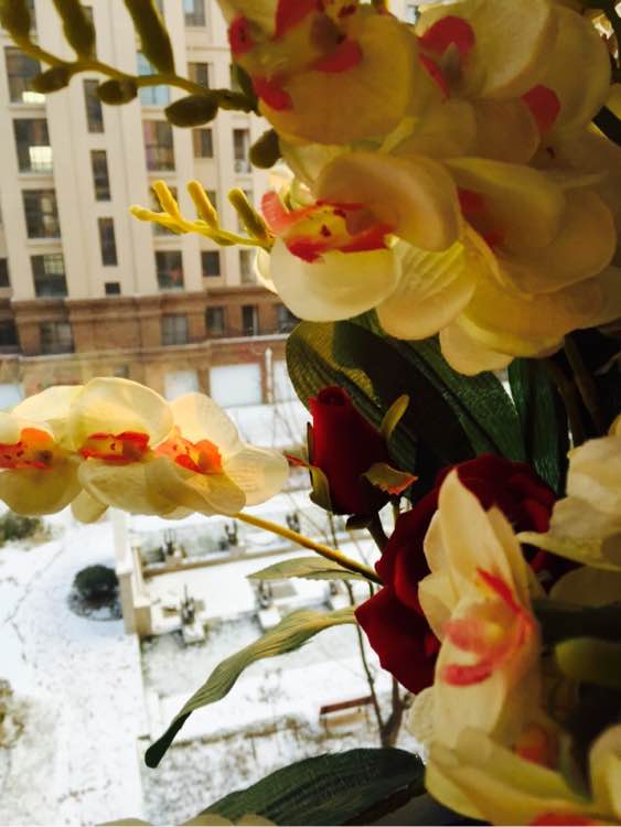 历时半年,老婆用50多万将房子装修成宫殿,我只是心疼我的钱!