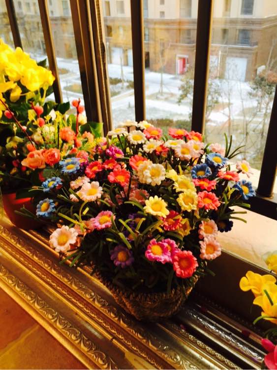 历时半年,老婆用50多万将房子装修成宫殿,我只是心疼我的钱!