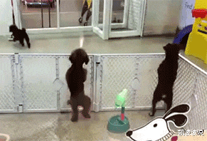 自拍|女朋友说开车出去逛街呢，还发来一张自拍照？我就觉得这个眼镜搭配的很不好