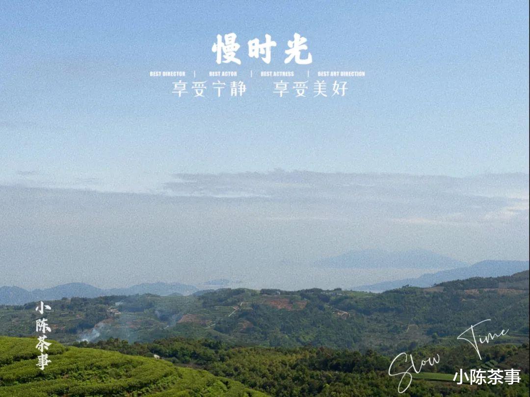 秋老虎|从制茶工艺、适制树种、适饮期出发，3个角度解开白茶和绿茶区别