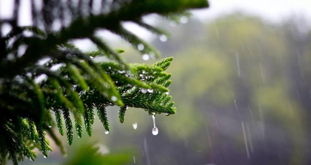 为何人一到下雨天就想睡觉?科学家道明原因,原来和懒惰无关