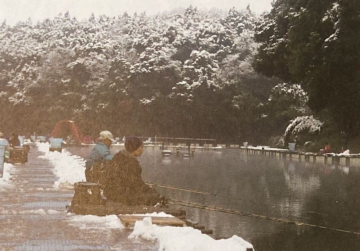 日本|[ 鲫鱼钓 ] 日鲫集中管理鱼塘，日本专业钓鲫鱼书籍