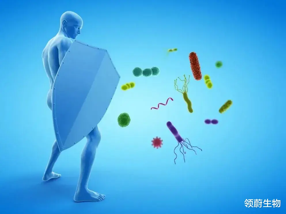 领蔚生物 奇迹案例：激活免疫系统，癌症不药而愈
