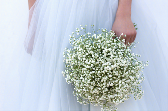 居家公社|人类高质量七夕送花指南！这9种花颜值高，寓意好，没有人不喜欢