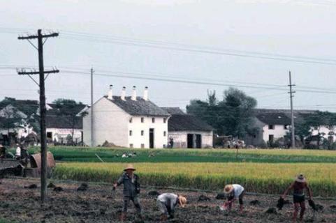 绍兴|真实老照片，1983年浙江绍兴乡村生活流出，你还记得这些场景吗？