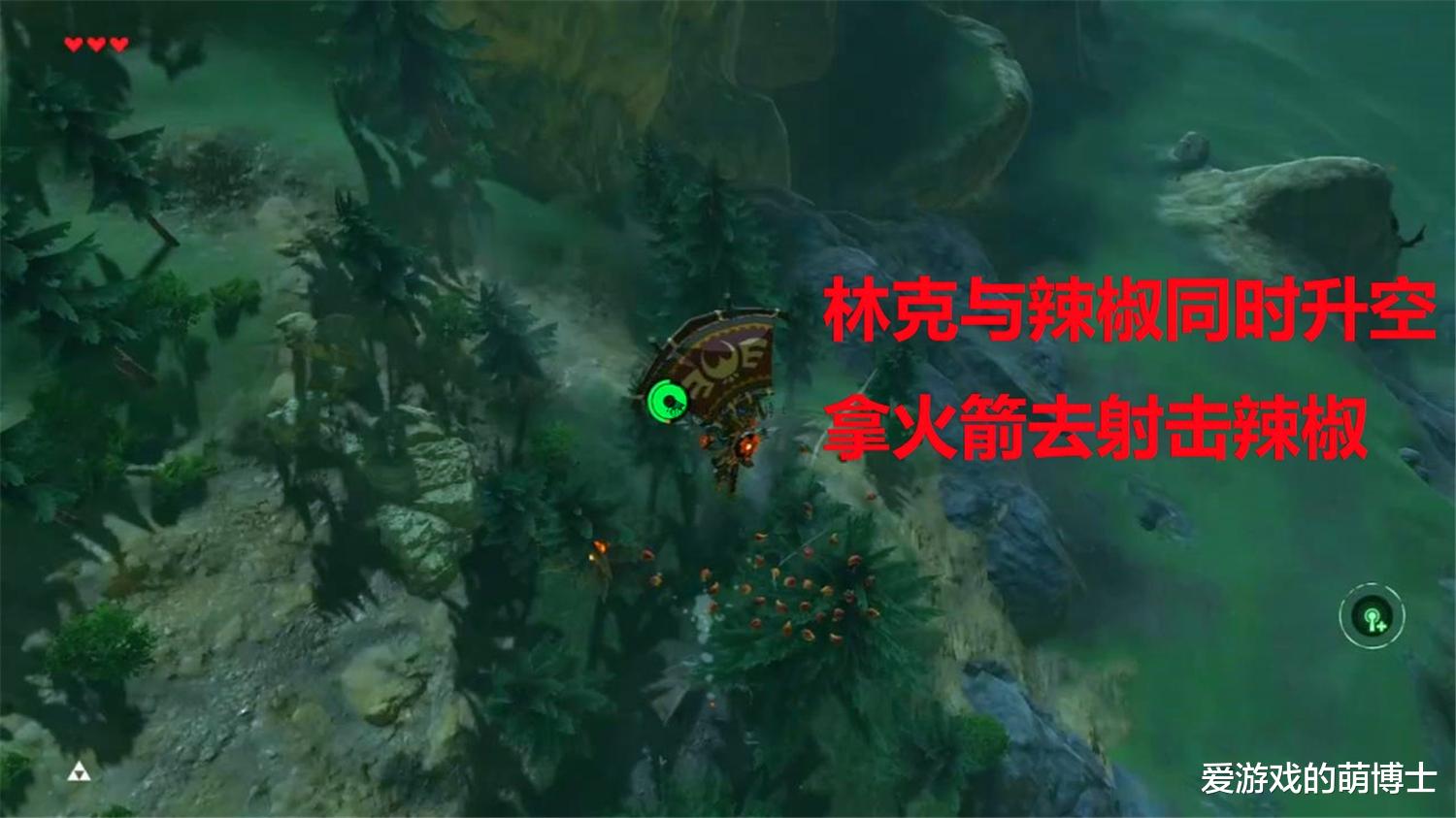 主机掌机类游戏|在《塞尔达传说：荒野之息》中，玩家利用暖暖草果玩起了梯云纵