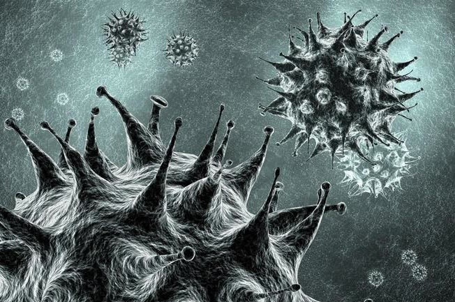 周周小宸|诡异的人类起源假说,改造我们大脑的居然是真菌蘑菇