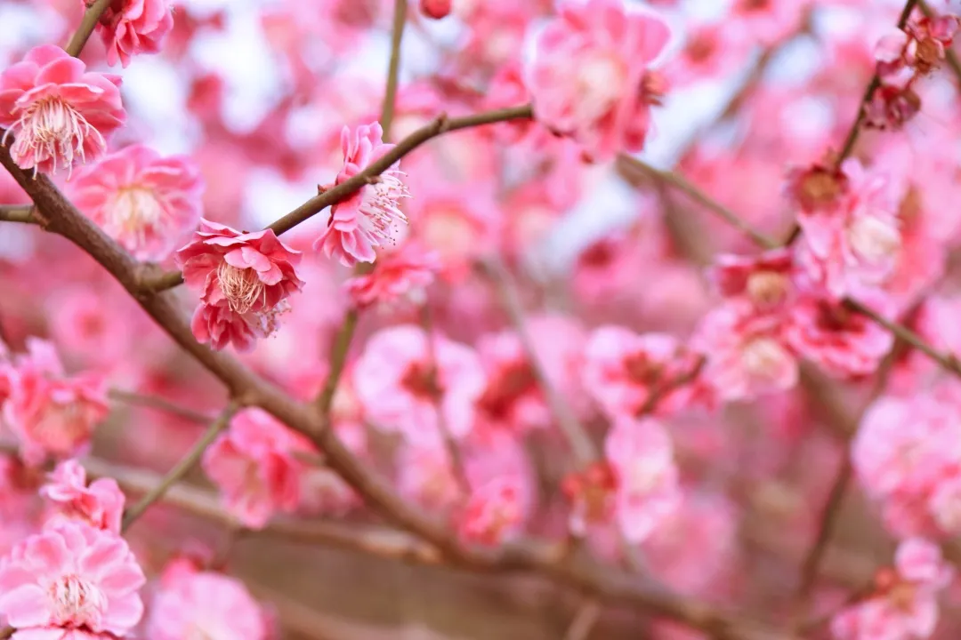 汉江 陕西一个十全十美的小城，山美水美惹人醉，这才是五一该去的地方