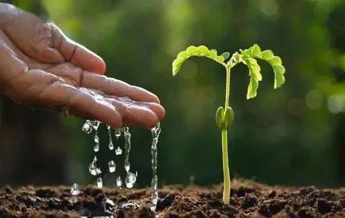 兰陵笑笑侠 琴棋书画不等于素质教育,好的教育必然是摒弃“功利”的爱与善良