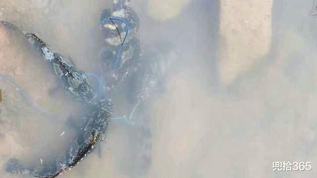 海钓|近海碰上了石斑鱼窝,广东男子海钓的罕见经历,结局满满的正能量