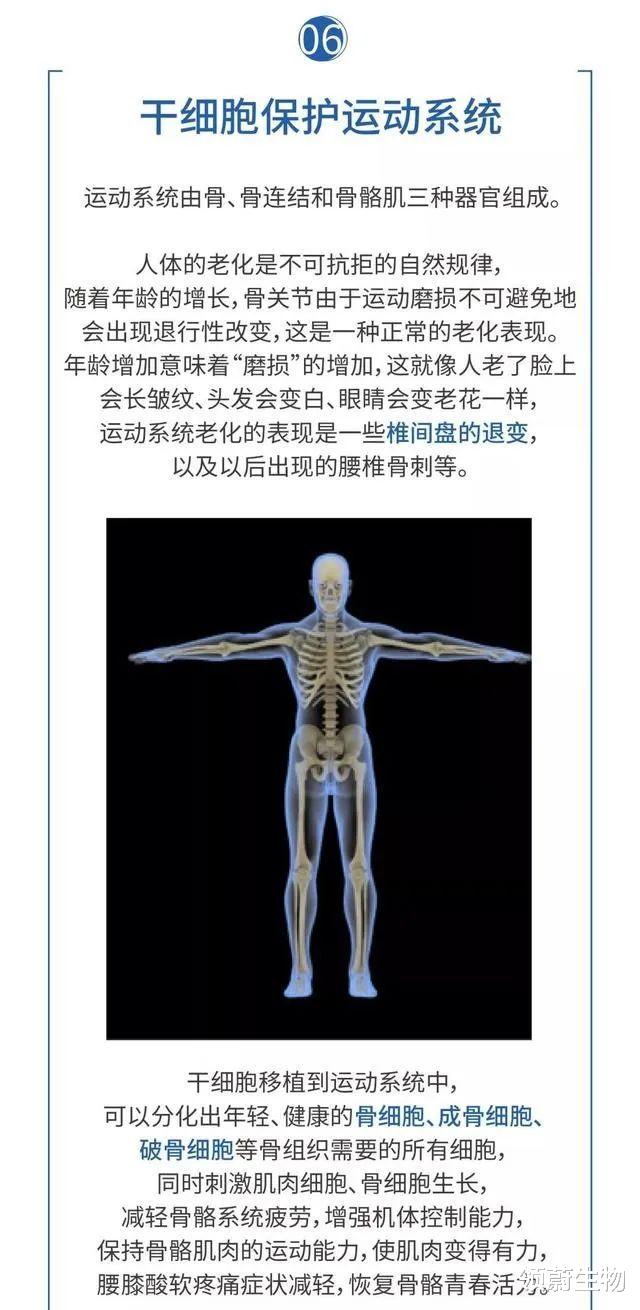 科学家 详解干细胞如何保护人体八大系统，从而让人类获得健康长寿的奥秘