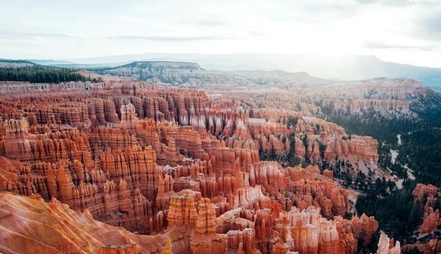 生态环境保卫者|为什么说摩羯座的爱是一般人承受不了的?