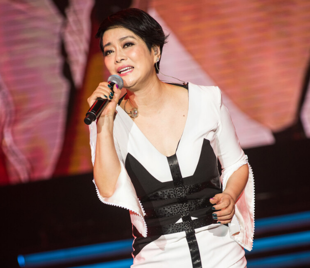 毛阿敏|毛阿敏富商丈夫去世，生前日夜为工作操劳，陈凯歌陈红夫妇协助治丧