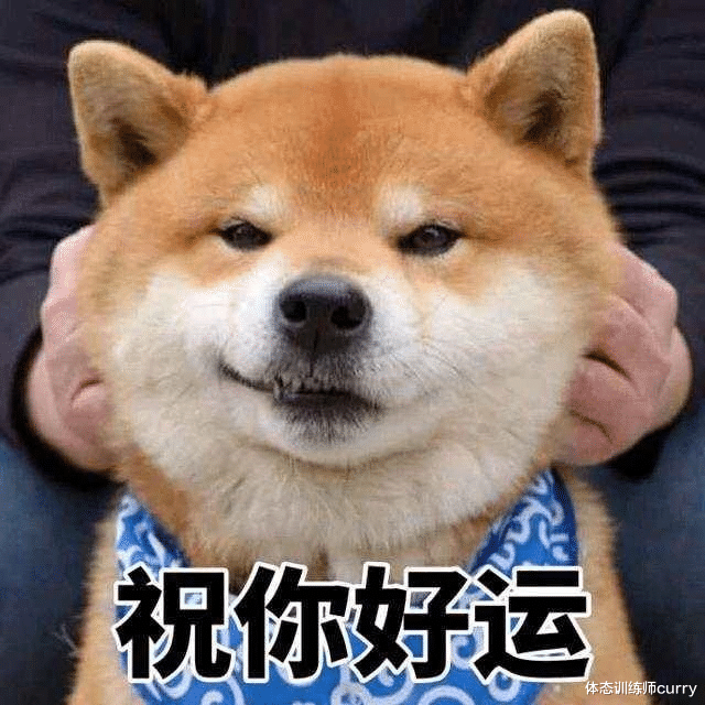 牙齿|练腹=练核心？这篇文章带你了解什么是核心和真正的核心训练