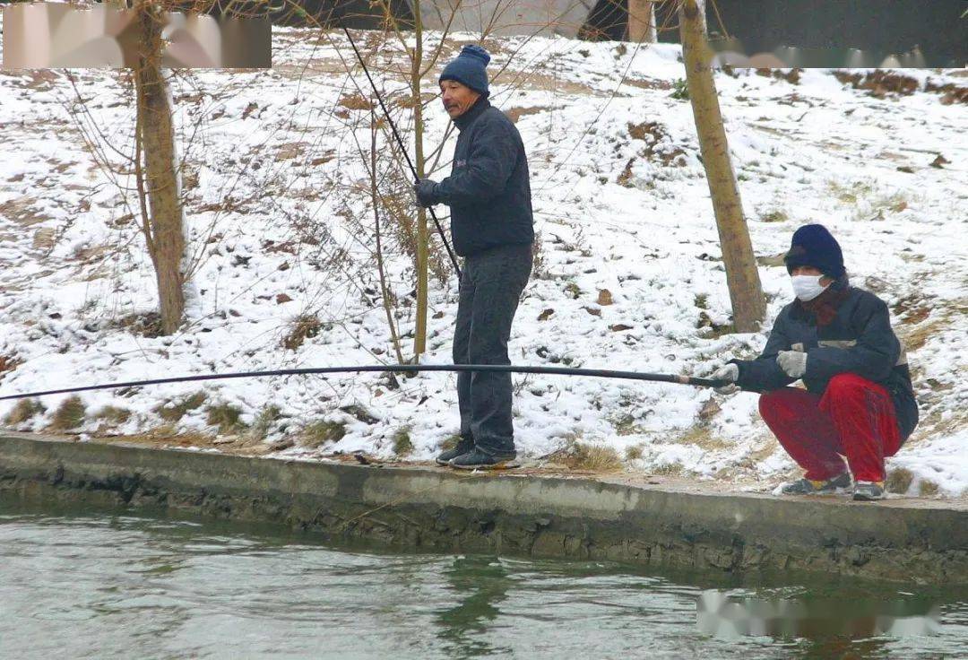 饵料|想冬钓？先搞明白，什么是六不钓