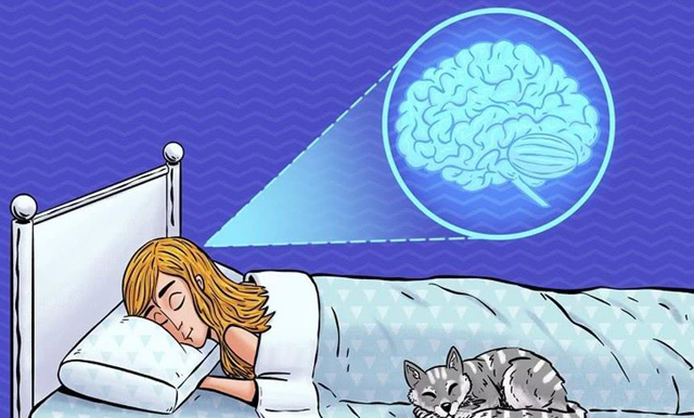 深度养生知识 现代人三分之一睡不好？失眠其实也有“真假”之分，了解四个原因