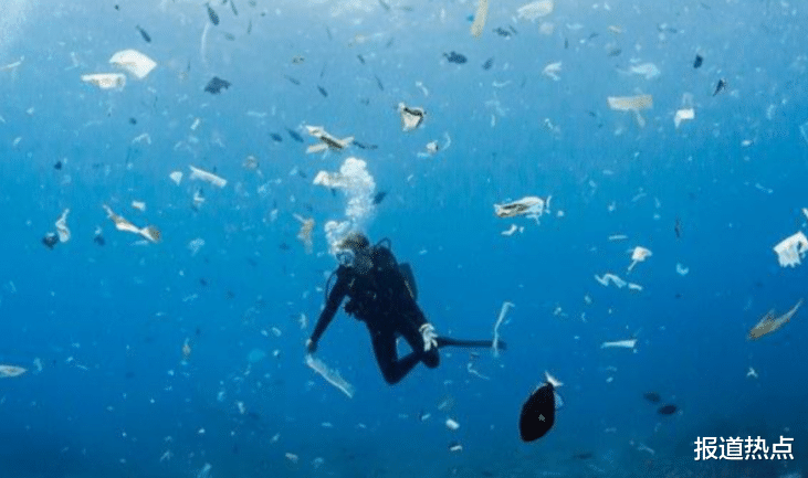 海洋生物 海洋生物大批惨死，化学药物成罪魁祸首，关键时刻专家指出一条明路