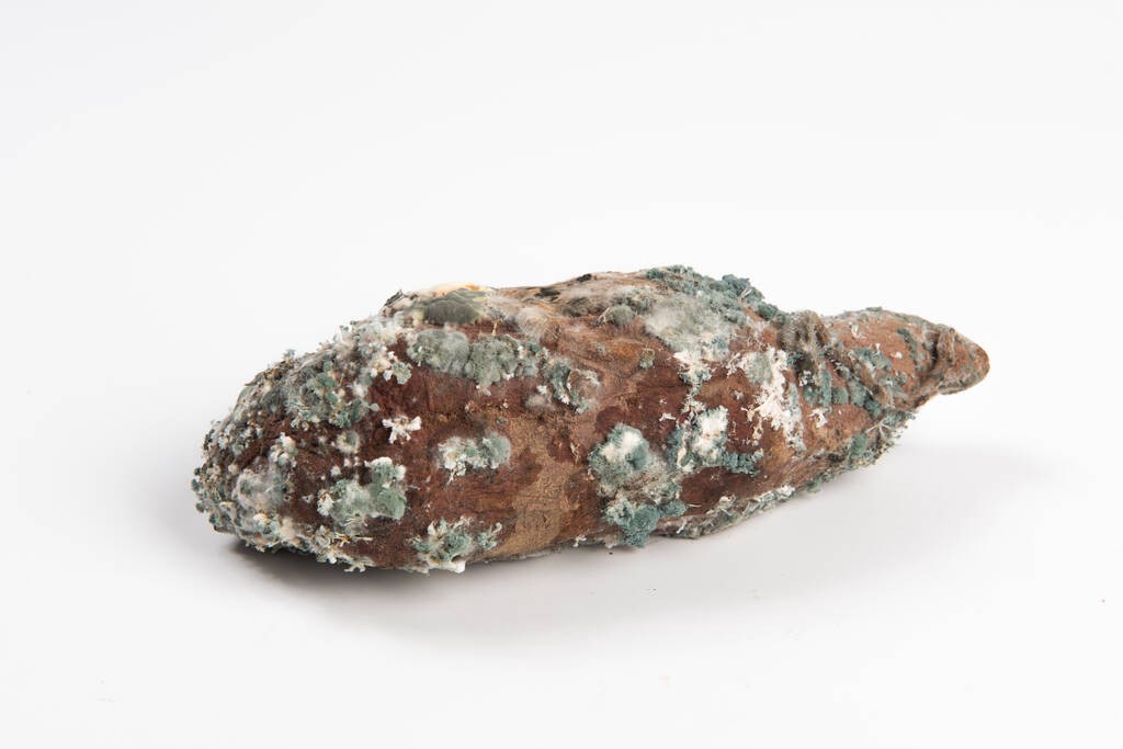 肝脏|多家医院“明令禁止”,1种“粗粮”比烟酒更伤肝,呵护肝脏趁早远离