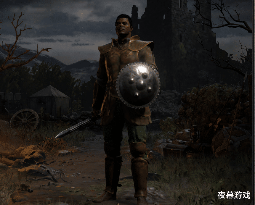 |暗黑2重制版各职业造型大比拼，圣骑士因皮肤太黑遭众吐槽