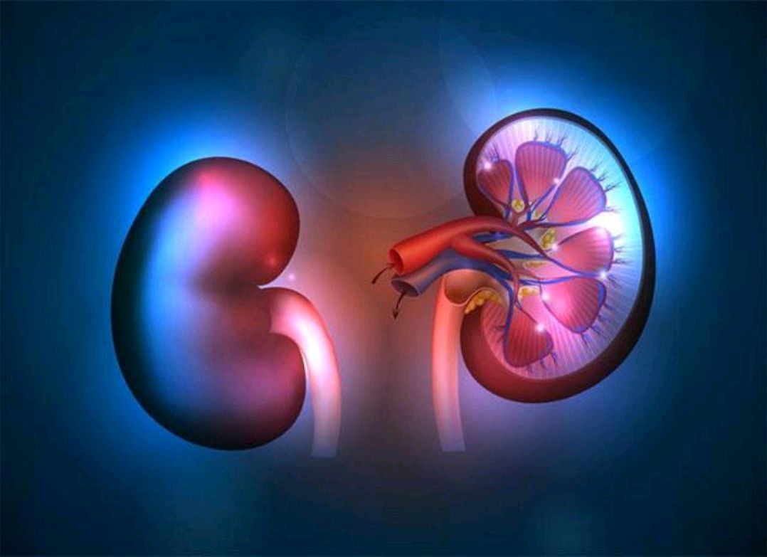 睡眠|男性肾好的6个标准,占到了一半以上,那就祝贺你了