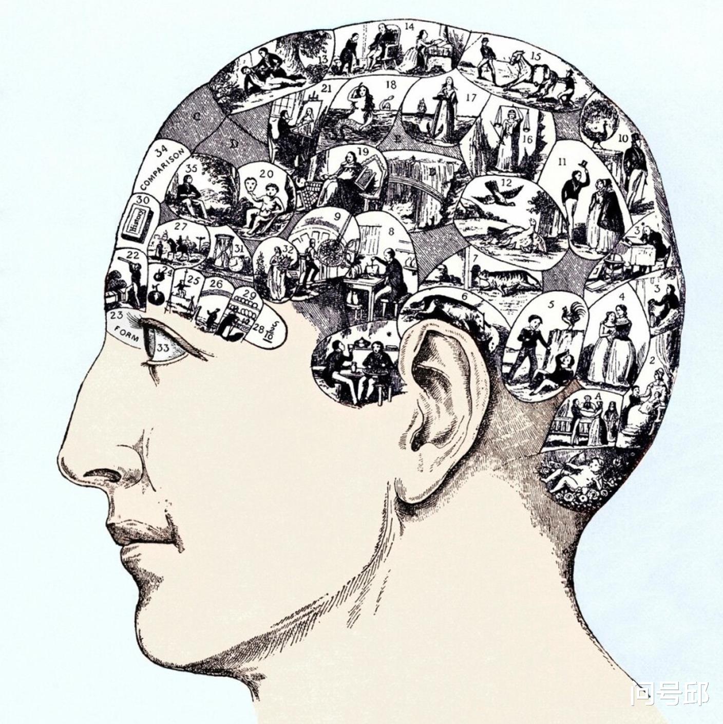 为什么颅相学在维多利亚时代风靡一时?现在以伪科学告终