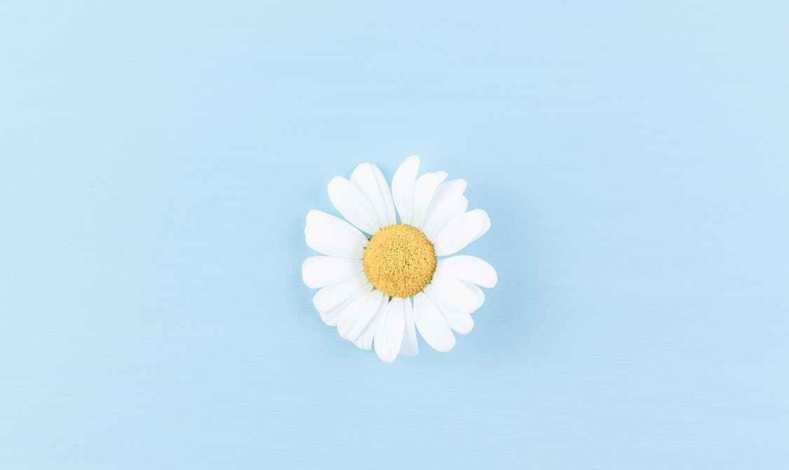 开心生活助手|从现在开始，停止做三件事，才能走桃花运