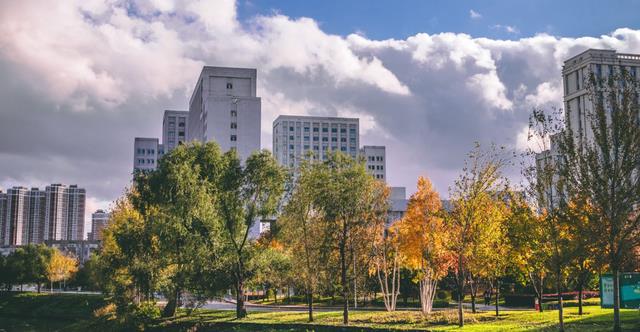 黑龙江|黑龙江省有哪些好大学？共有39所本科高校，其中10所名气较大