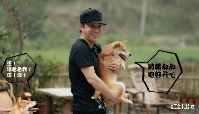 黄磊|《向往的生活5》录制杀青！黄磊发文告别，最后一期飞行嘉宾名单曝光