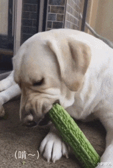 小叶娱记 “楼下新开一家店，去了一次，才知道为啥生意好了”！