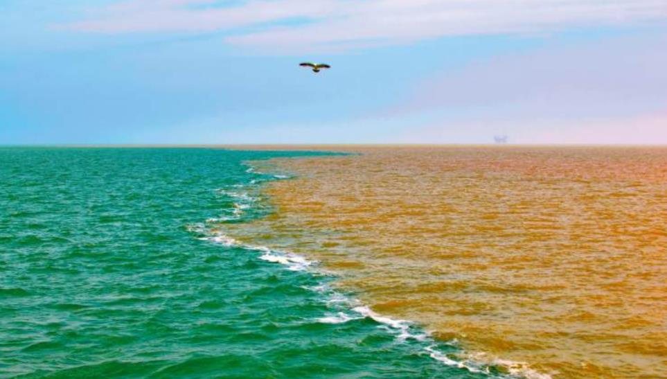 大城小樂故事 當(dāng)內(nèi)陸河水流進(jìn)海中后，河水中的魚會怎樣？