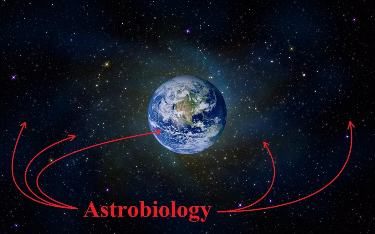 外星生命长什么样子?