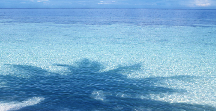 纵火案 期货盈利需要从这里开始？