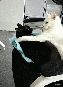 神武星人|“跟前任去酒店,结果在国产区看到自己,真的是惨无人道”哈哈哈哈