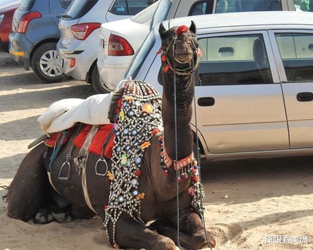 太空 22张不可思议的照片 带你看大千世界