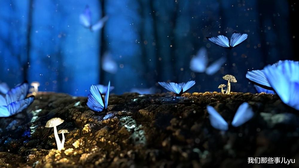 我们那些事儿yu|有一种最顶级的人生智慧，叫“认命”