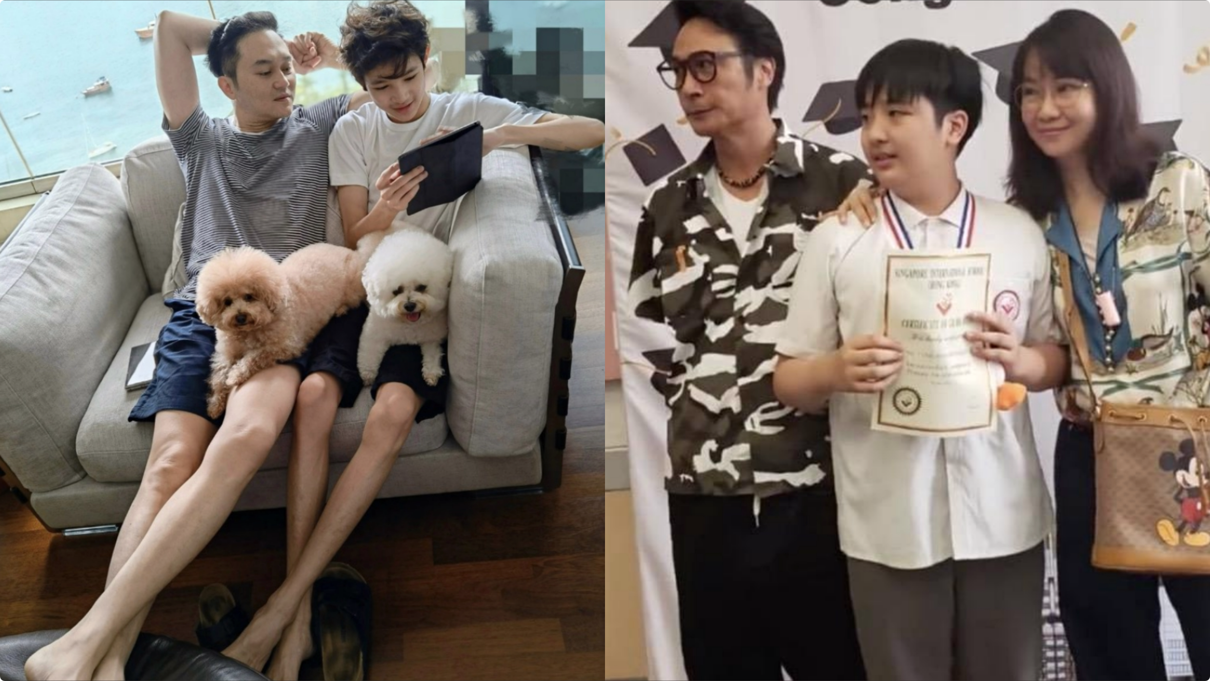 费曼|张智霖儿子晒撸猫日常，魔童眼神温柔颜值高，费曼留言梦幻联动