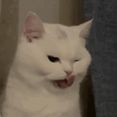 Angelababy|baby：我离婚了