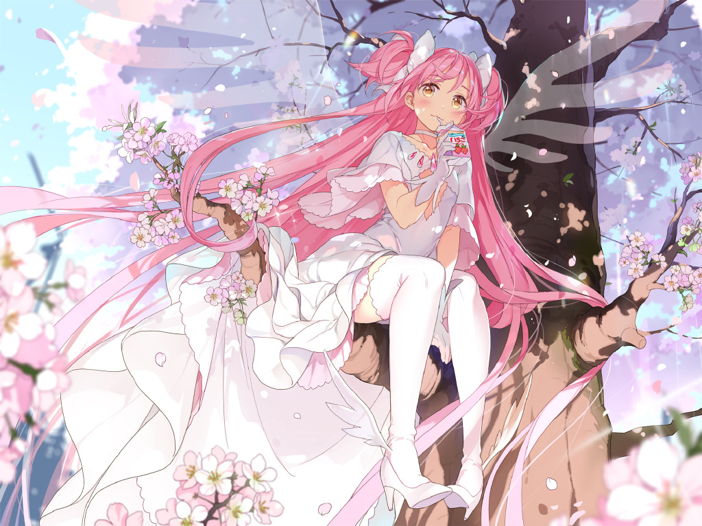 鹿目圆|《魔法少女小圆》鹿目圆壁纸特辑