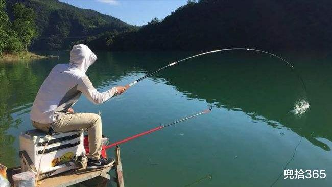 广东省|广东一男子野钓收获金黄大鱼，取下鱼钩后立即放生，结果又后悔了