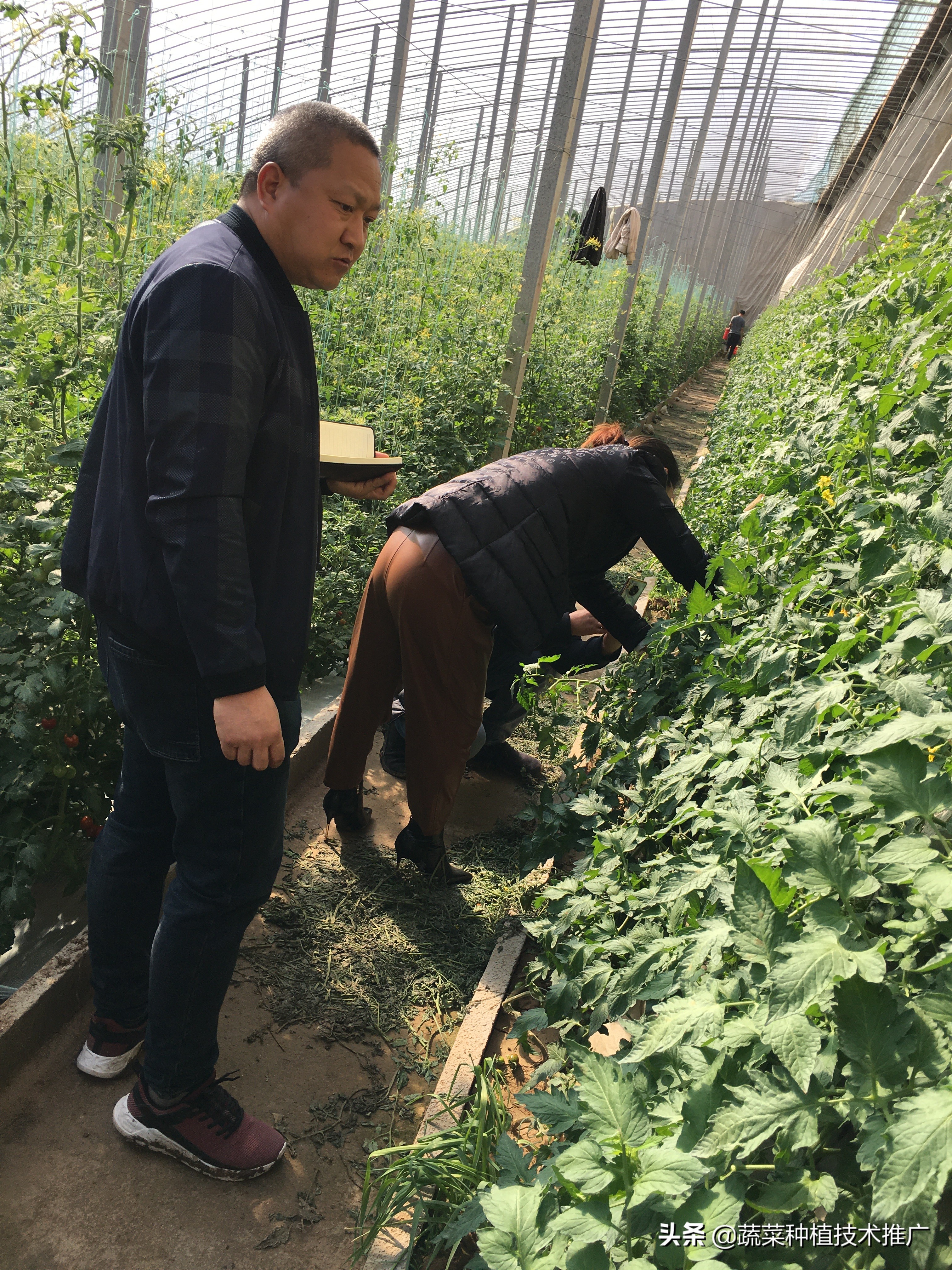 蔬菜小管家 河北客户前来参观学习，团队老师热情接待，达成合作共识！