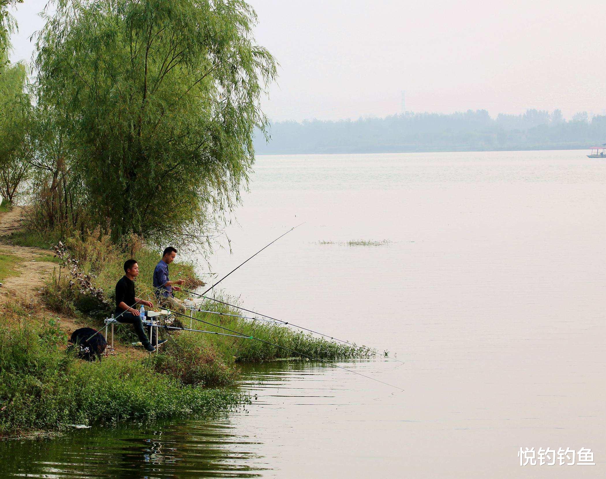 水库|真的是早上鱼口最好吗？其实鱼的开口时间与水质关系很大