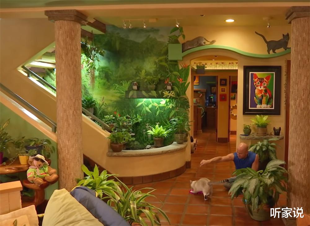 听家说|土豪壮汉养22只猫咪,为猫主子将别墅变成猫乐园,网友:太治愈了