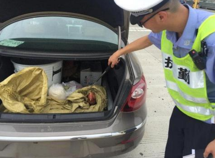 私家车|后备箱装点水果被罚200？车主：是后备箱不能用还是水果不能吃？
