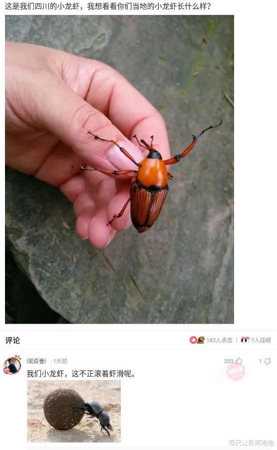 神回复|神回复：为什么都说千万不能娶护士当老婆？神评真相了，觉得对吗