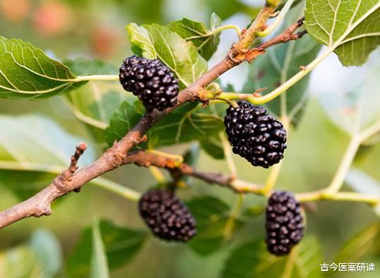 便秘|3种水果被称为“偷钙之王”! 转告家人：骨骼不太强壮，尽早避开