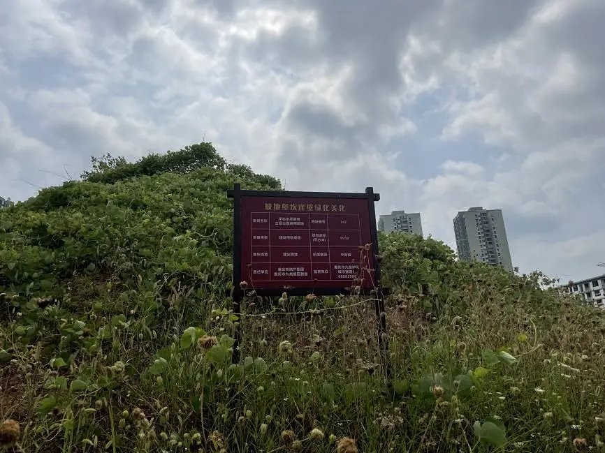 公租房|?要啥没啥，环境还差，华岩某盘单价居然高出周围楼盘1000多元/㎡！
