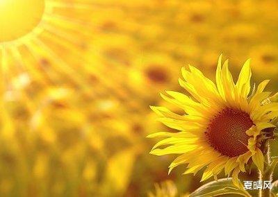 夏晴风|你什么习惯,就什么命